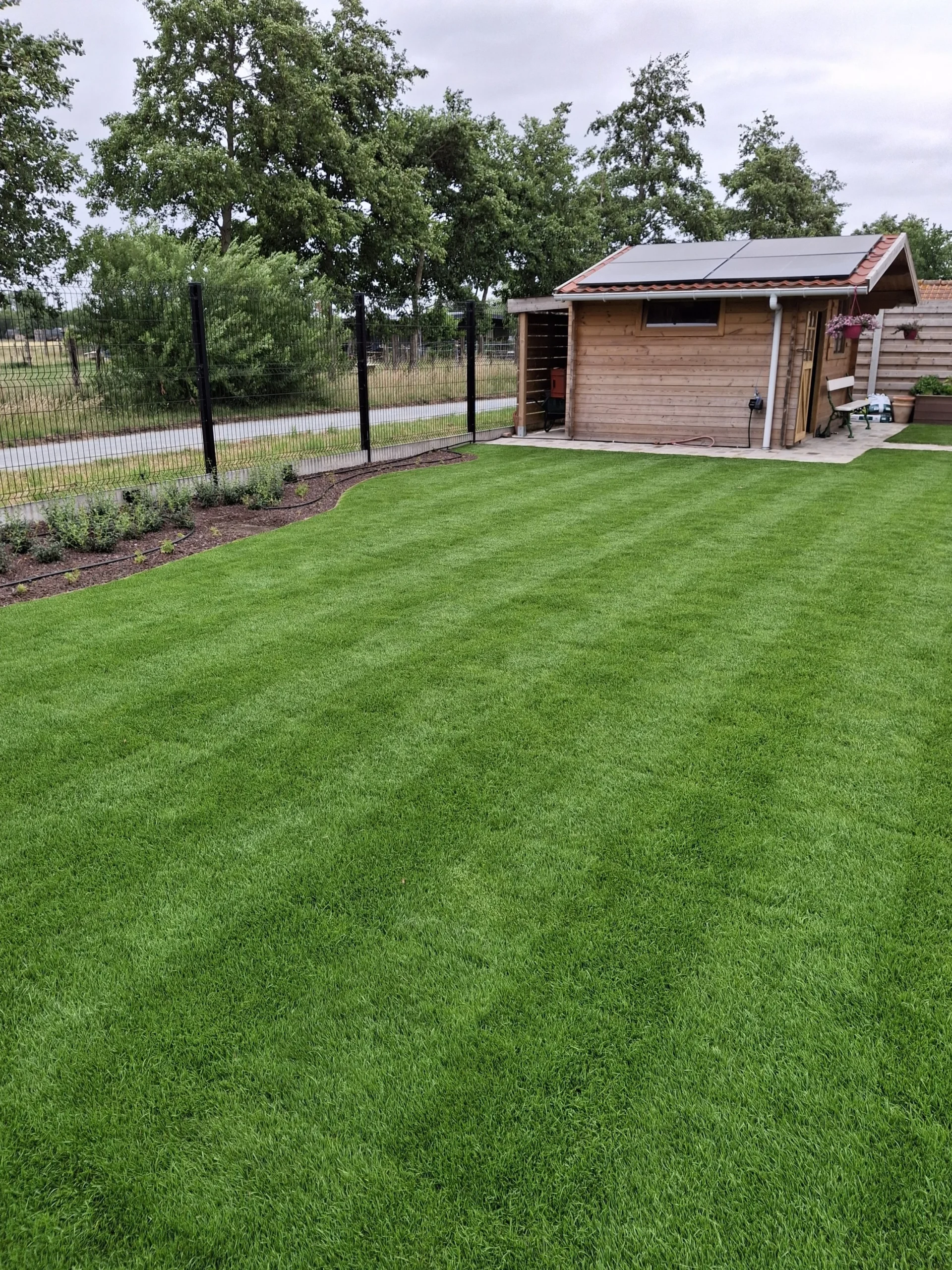 Een goed onderhouden tuin blijft langer mooi én gezond. Daene Tuinteam uit Ichtegem staat klaar voor zowel eenmalige opfrissingen als periodiek onderhoud. Van snoeiwerken tot gazononderhoud en onkruidbestrijding: wij nemen het werk uit handen.
We werken voor particulieren en bedrijven in de ruime regio van West-Vlaanderen. Onze service is flexibel en afgestemd op jouw tuin én agenda. Reken op vakkennis, netheid en een groene tuin zonder zorgen.Op zoek naar betrouwbaar tuinonderhoud? Contacteer Daene Tuinteam