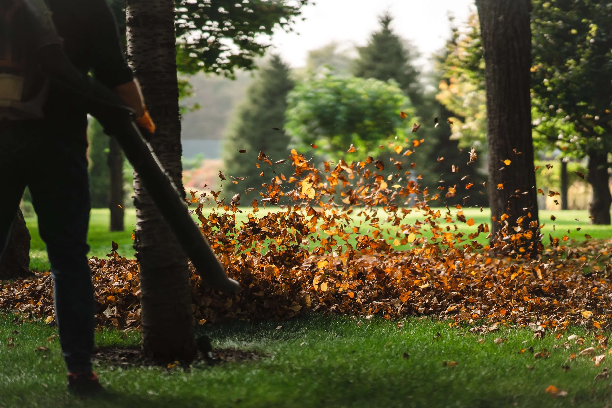 Tuin onderhoud zorgt ervoor dat uw tuin er heel het jaar tip top inorde uitziet, wij bij Daene Tuinteam maken er onze missie van om ervoor te zorgen dat dit het geval is. Wij helpen met onderhoud van bomen, uw gras, hagen, planten en nog veel meer. Kortom een alles in één partner voor uw tuin in Ichtegem en omstreken.